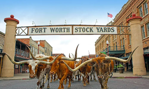Fort Worth destination scenery